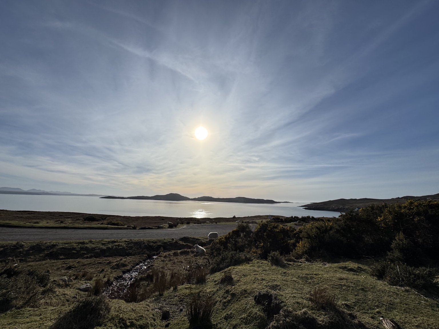 The Loch Didn’t Just Reflect—It Revealed